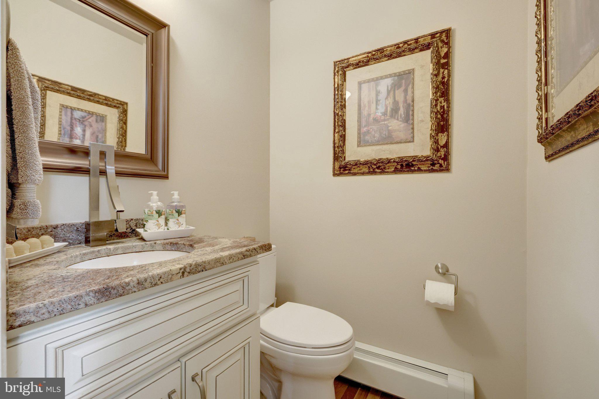 10015 Saddle Road Vienna, VA 22181 - Photo 43 of 86 Gallery Image 43