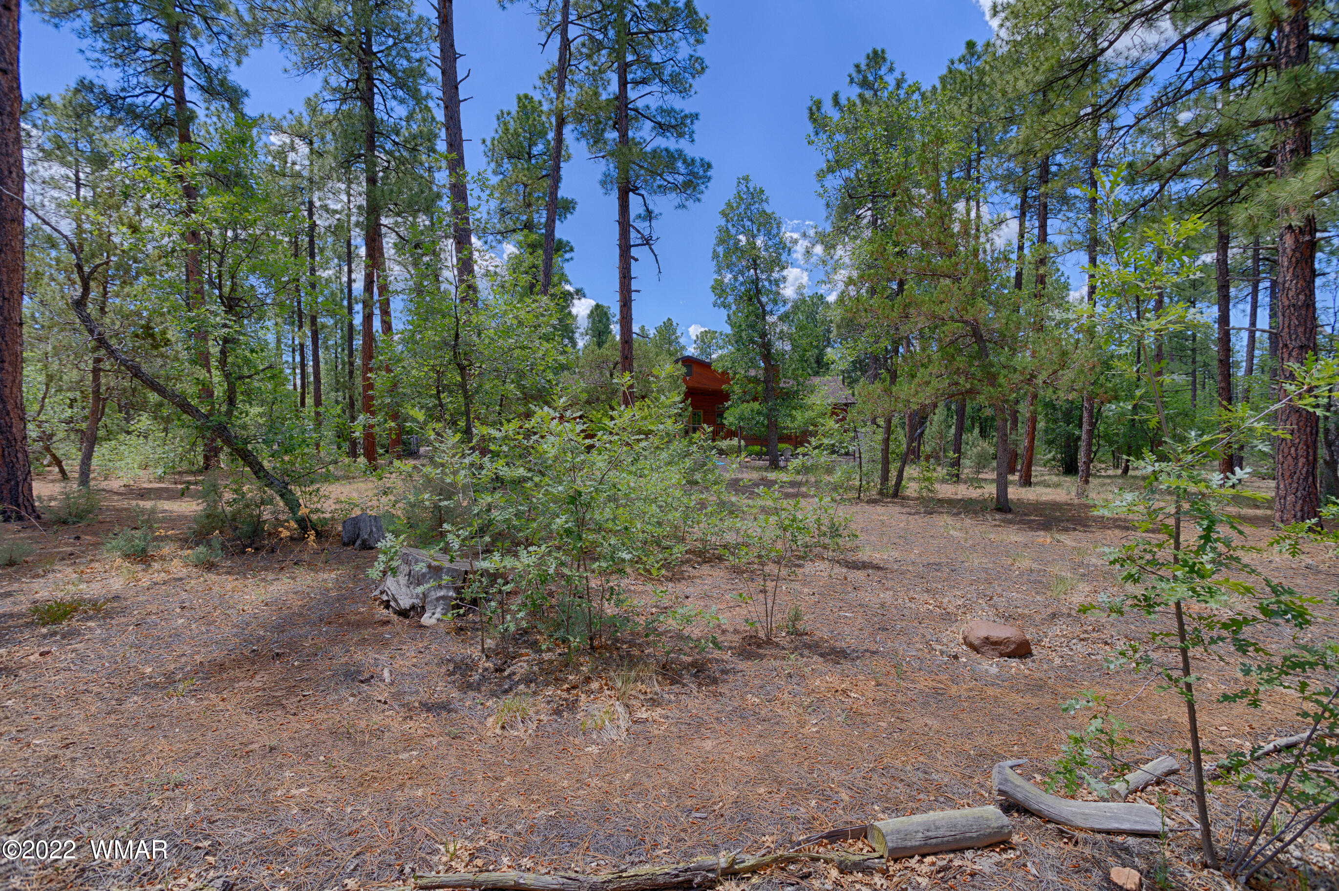 1136 West Rim Road Pinetop, AZ 85935 - Photo 32 of 49