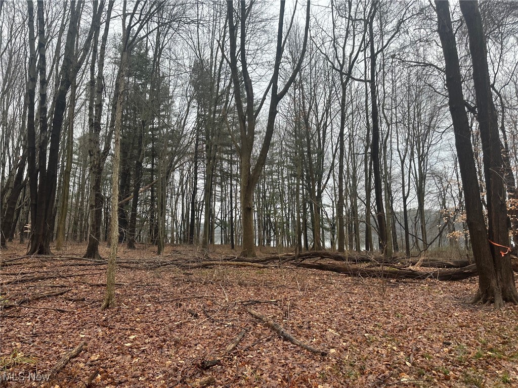 Rootstown Road Ravenna, OH 44266 - Photo 20 of 26 View of local wilderness