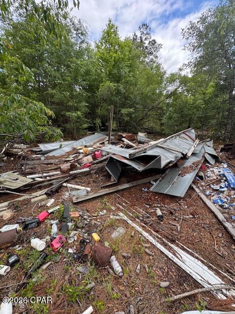 Tbd Pilgrim Rest Church Road Marianna, FL 32448 - Photo 9 of 13