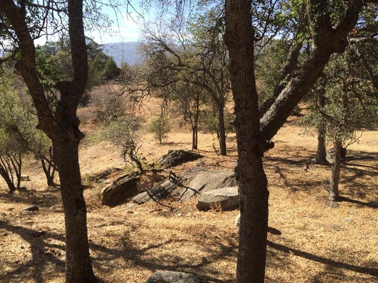 45288 Balch Park Road Springville, CA 93265 - Photo 26 of 42 Additional Photo