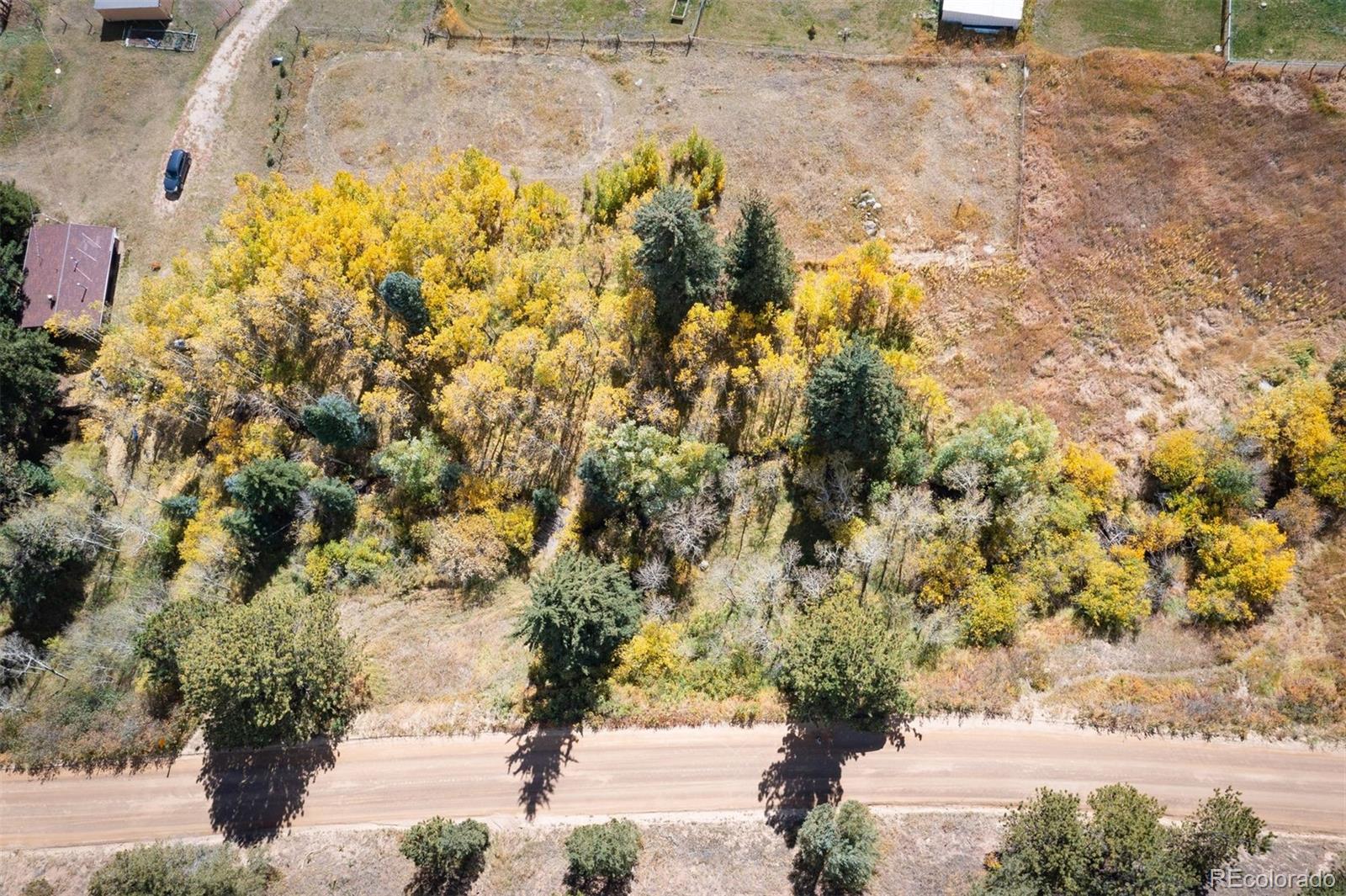 531 Caribou Road Nederland, CO 80466 - Photo 11 of 26