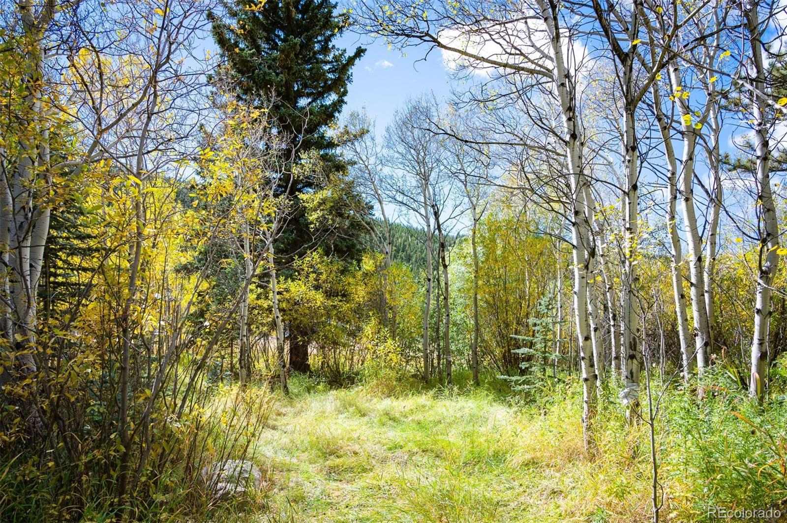 531 Caribou Road Nederland, CO 80466 - Photo 18 of 26