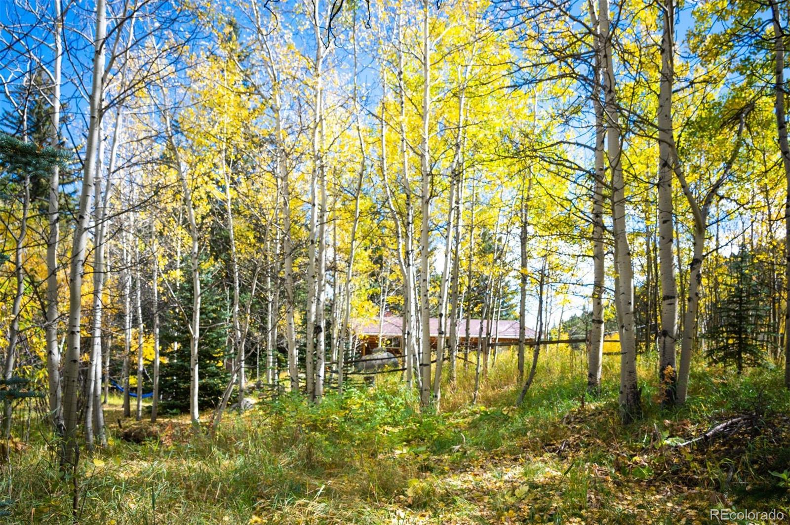 531 Caribou Road Nederland, CO 80466 - Photo 19 of 26