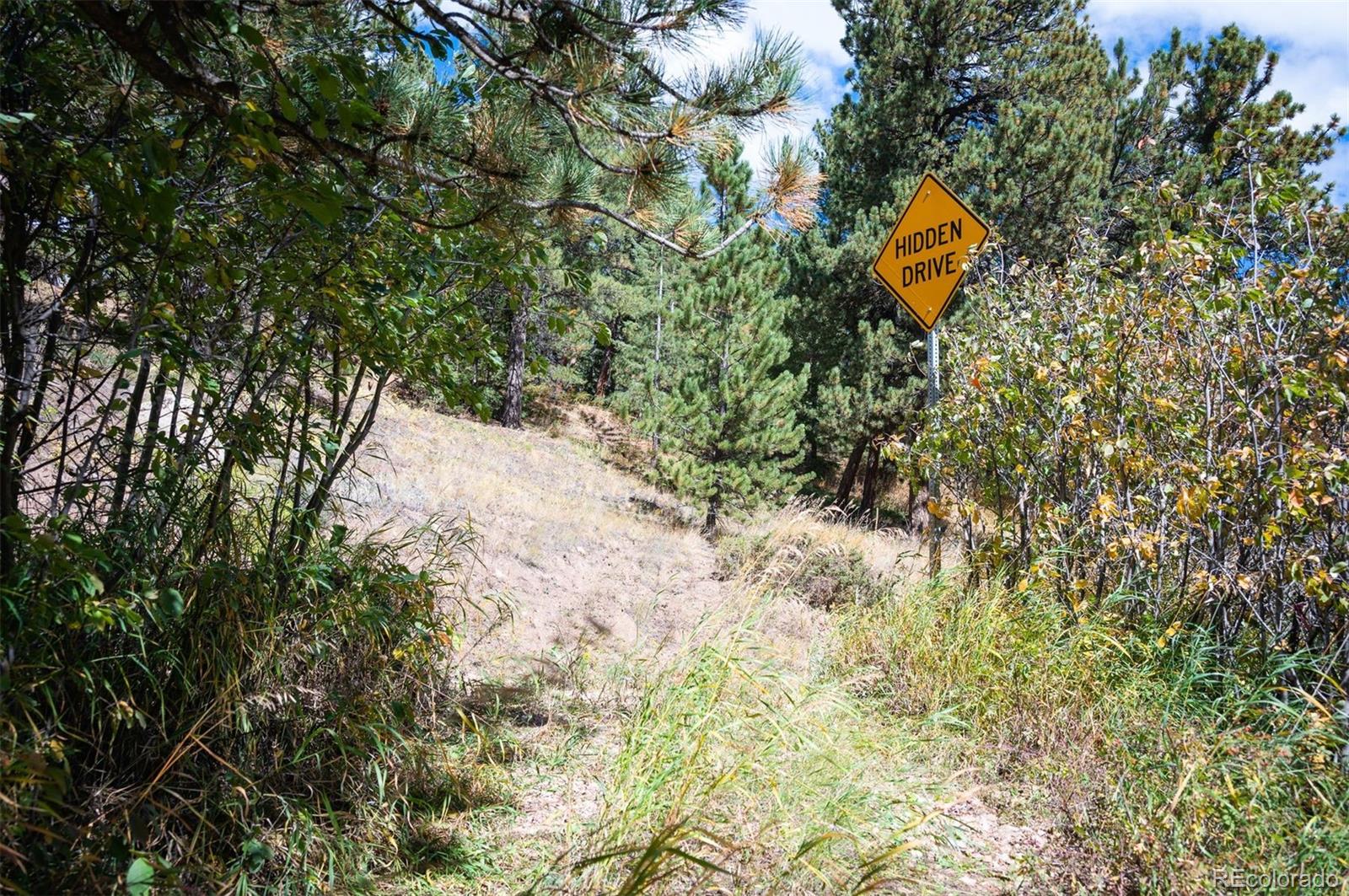 531 Caribou Road Nederland, CO 80466 - Photo 20 of 26