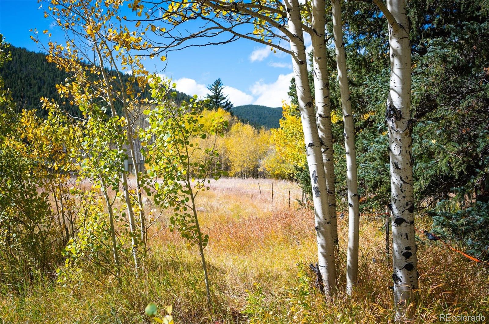 531 Caribou Road Nederland, CO 80466 - Photo 21 of 26