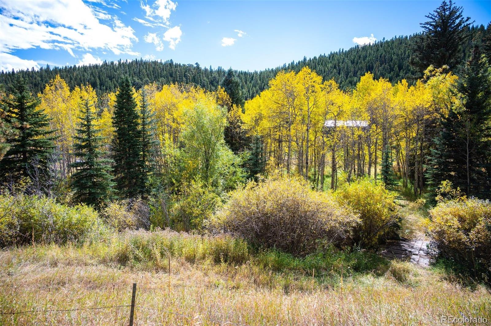 531 Caribou Road Nederland, CO 80466 - Photo 22 of 26