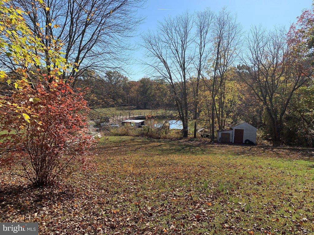 300 Marley Road Elkton, MD 21921 - Photo 20 of 29 View of Backyard from Home
