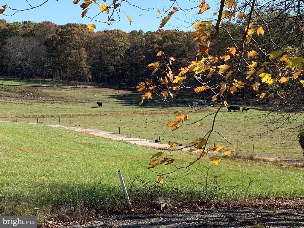 300 Marley Road Elkton, MD 21921 - Photo 21 of 29 Beautiful view of neighboring Pasture