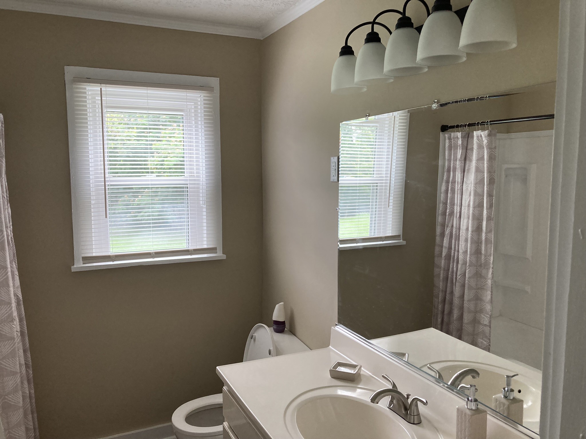 2220 Willette Road Red Boiling Springs, TN 37150 - Photo 20 of 30 a bathroom with a sink a toilet and a mirror