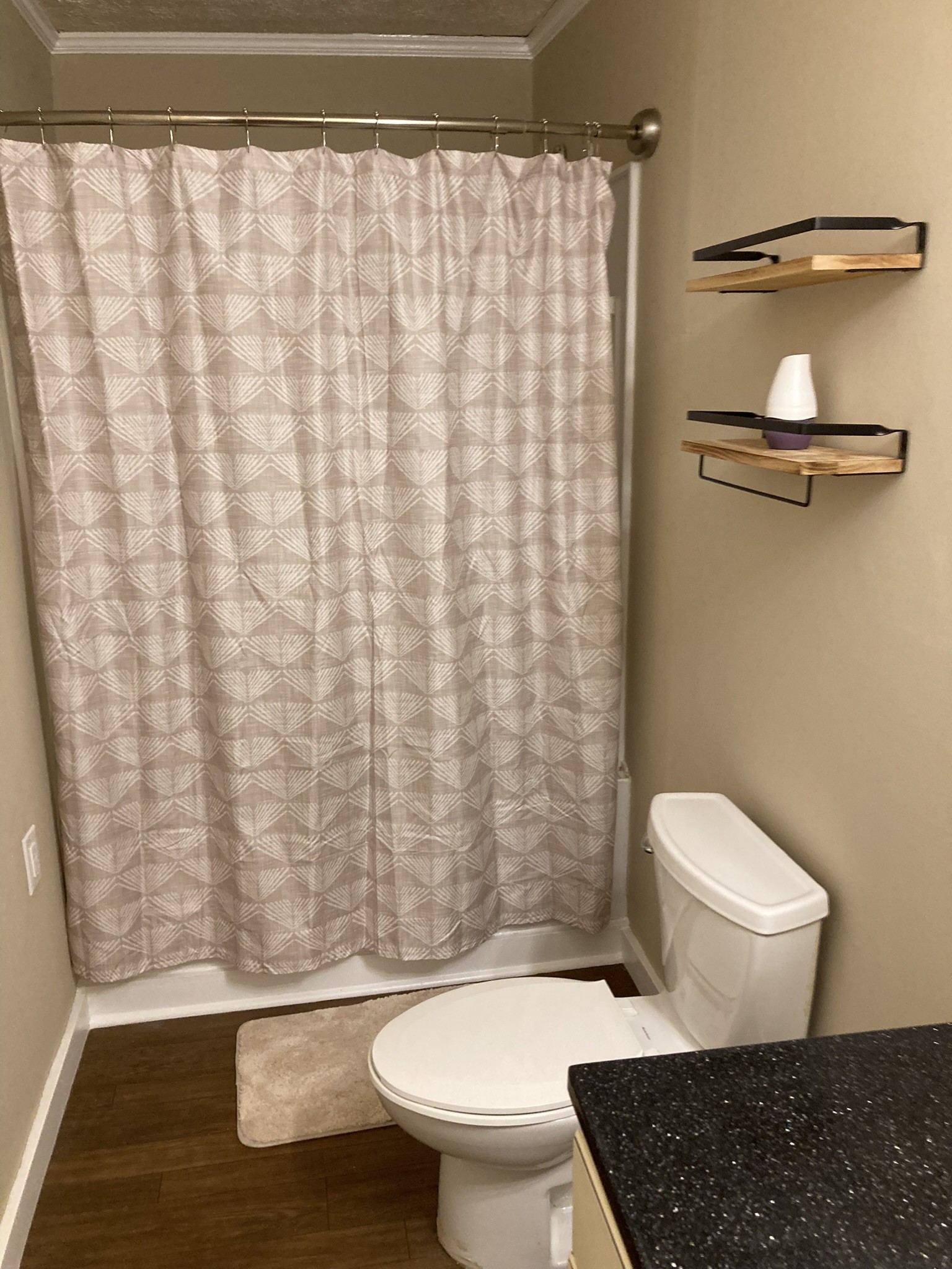 2220 Willette Road Red Boiling Springs, TN 37150 - Photo 26 of 30 a bathroom with a toilet and a shower curtain