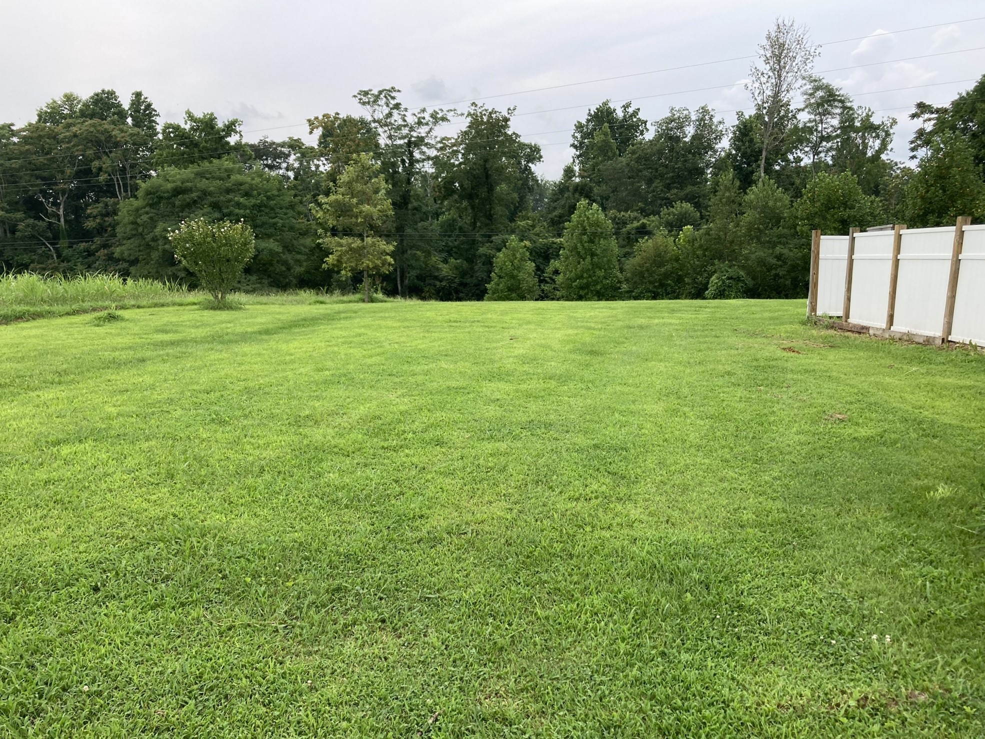 2220 Willette Road Red Boiling Springs, TN 37150 - Photo 8 of 30 a view of a green field with trees in the background