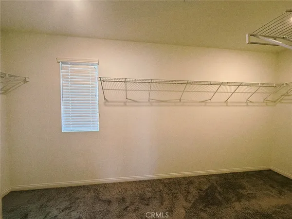 a bathroom with a shower and closet