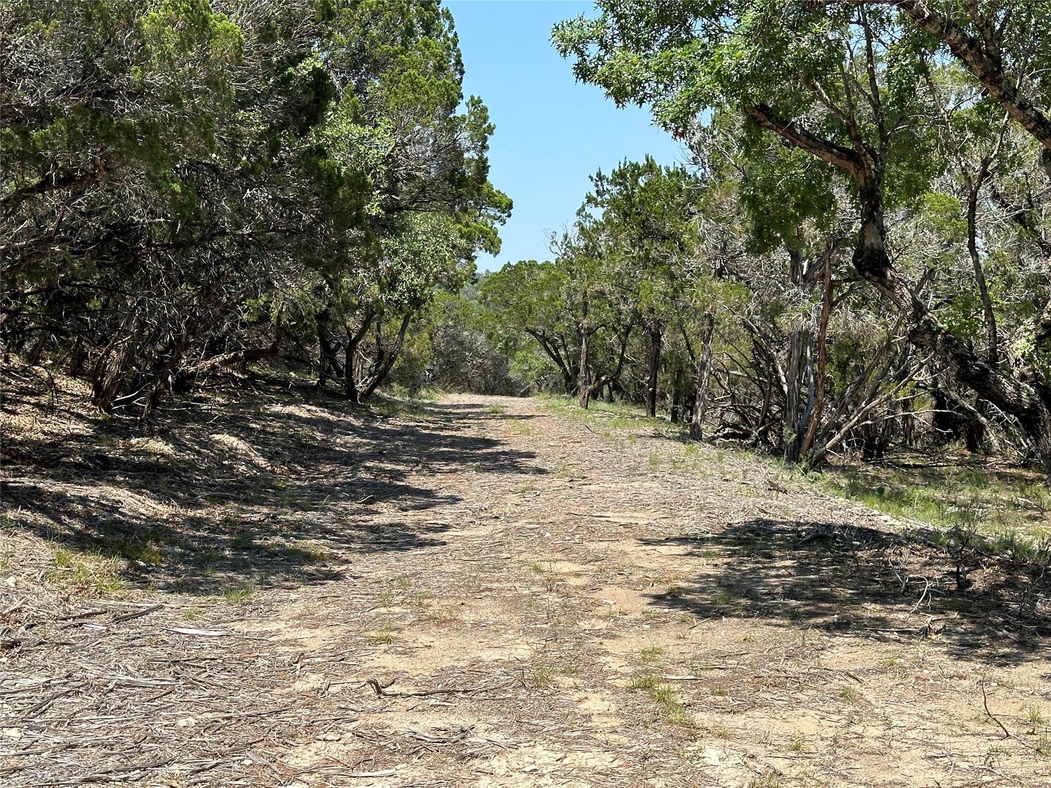 3500 Lohmans Ford Road, Unit LOT 72 Lago Vista, TX 78645 - Photo 7 of 15 a view of outdoor space with trees