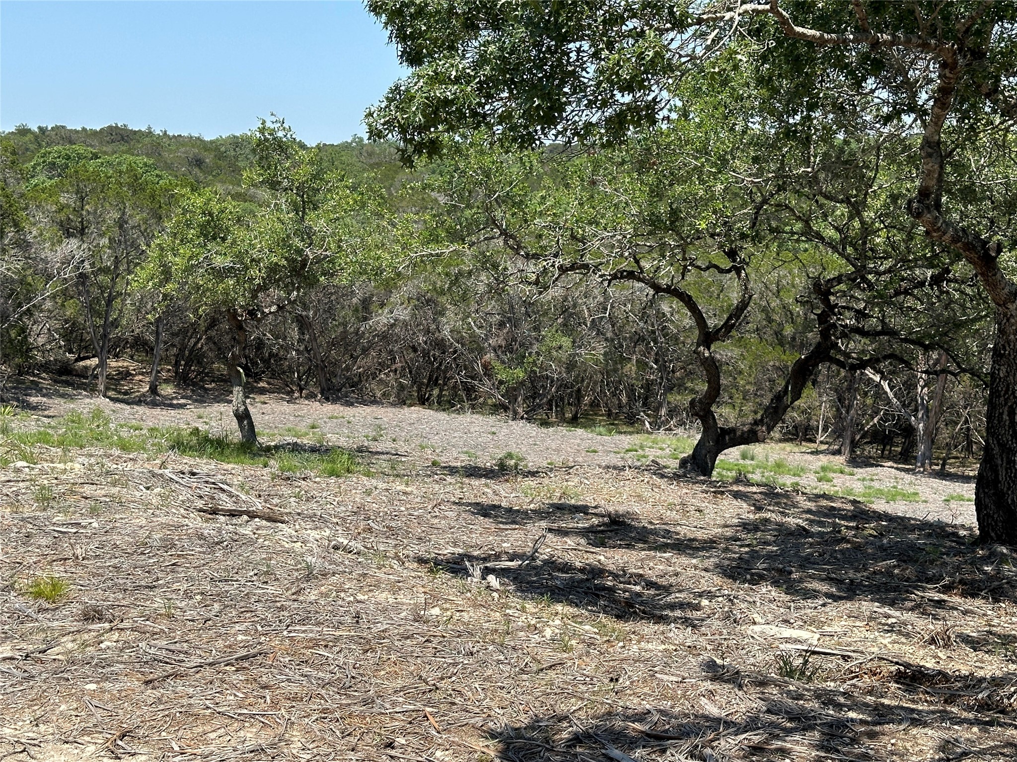 3500 Lohmans Ford Road, Unit LOT 72 Lago Vista, TX 78645 - Photo 8 of 15 a view of a dirt road with large trees