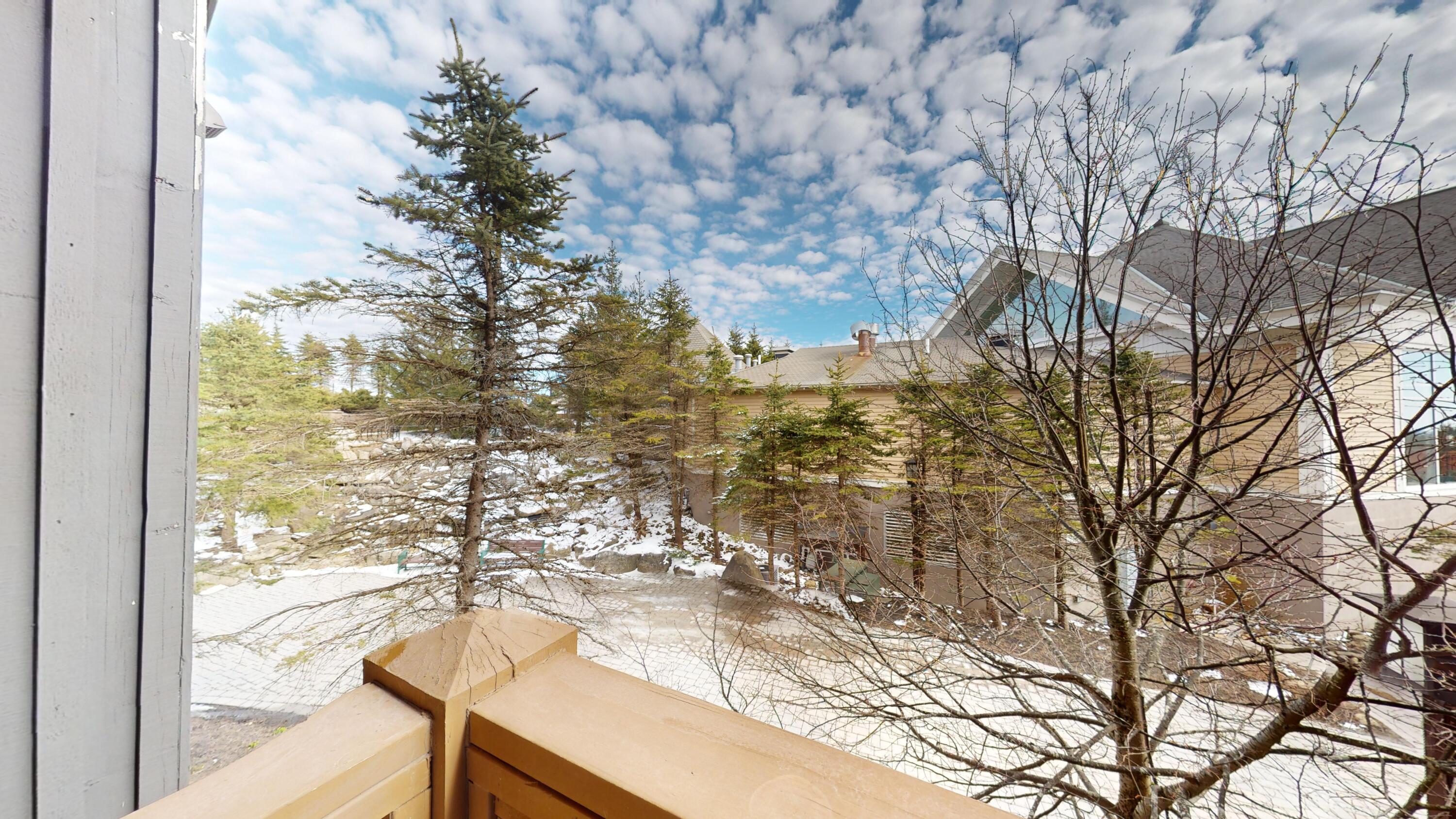 253 Rimfire Lodge Snowshoe, WV 26209 - Photo 6 of 24 Gallery Image 6