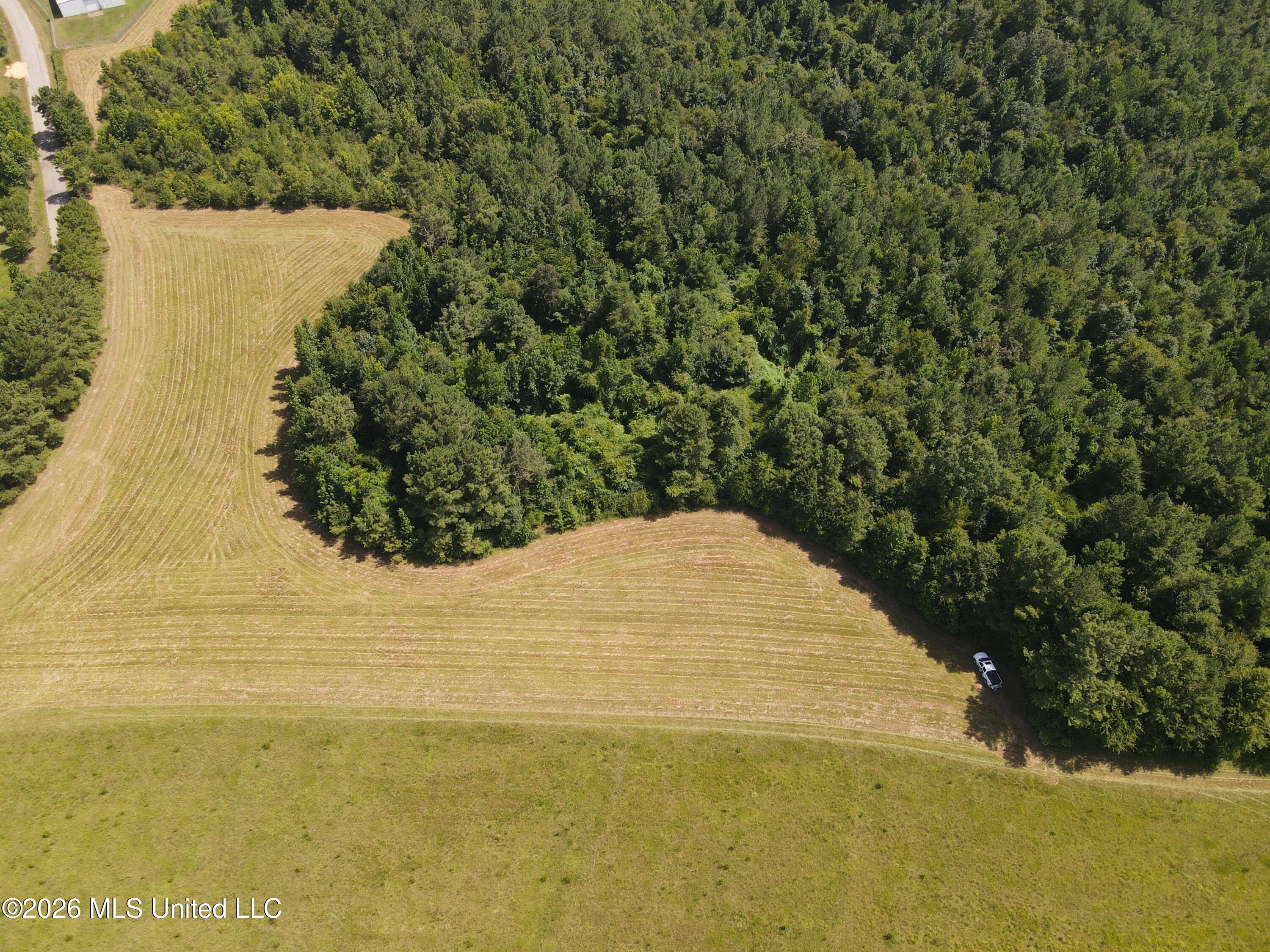 Mt Carmel Road Prentiss, MS 39474 - Photo 6 of 53 37913