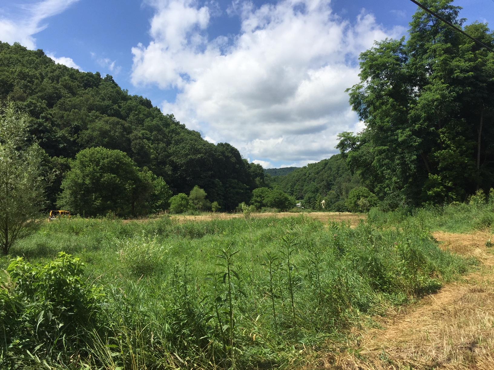 Zenith Road Gap Mills, WV 24941 - Photo 11 of 16 Gallery Image 11