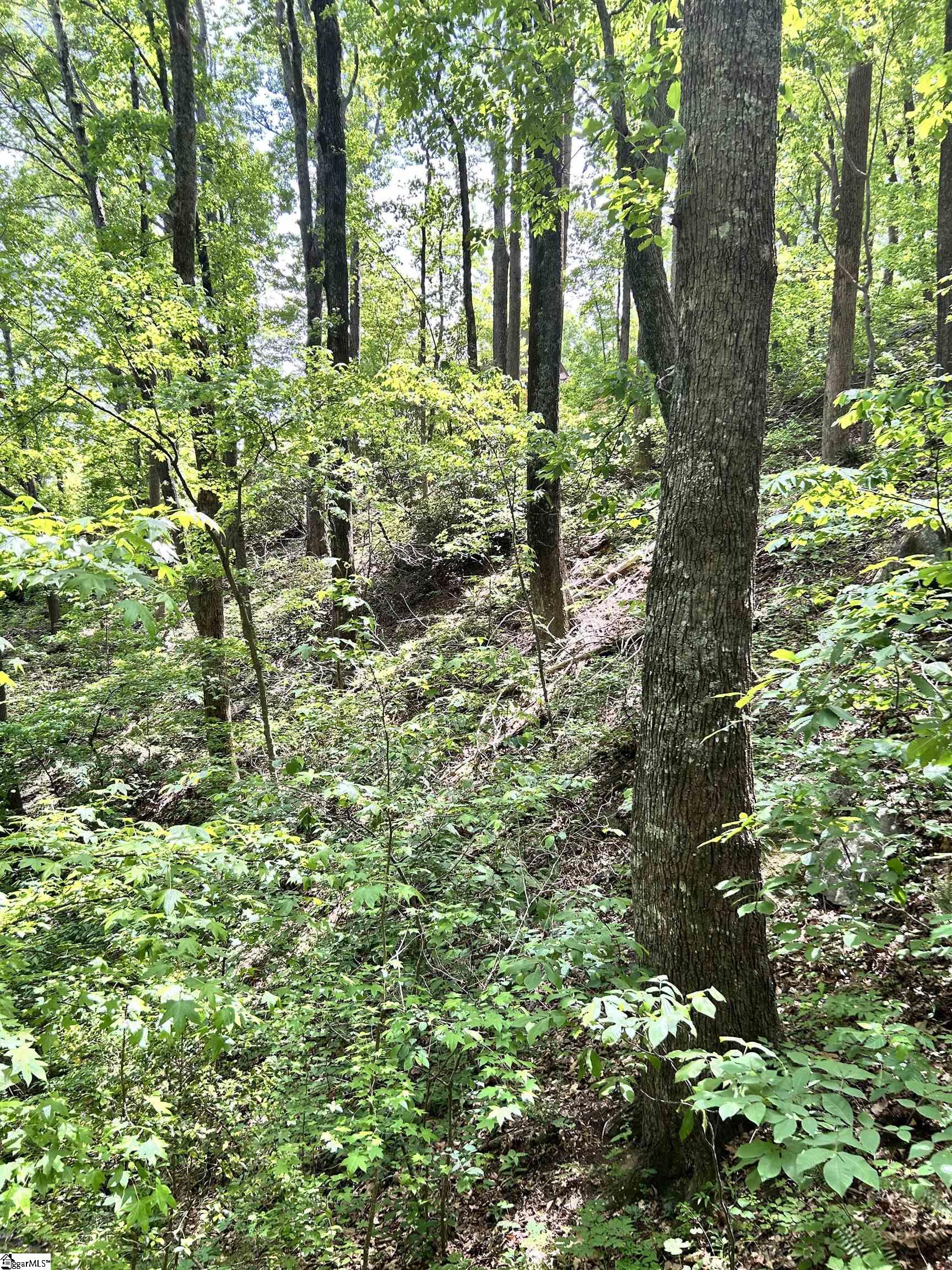 0 Needle Cragg Road Landrum, SC 29356 - Photo 9 of 14