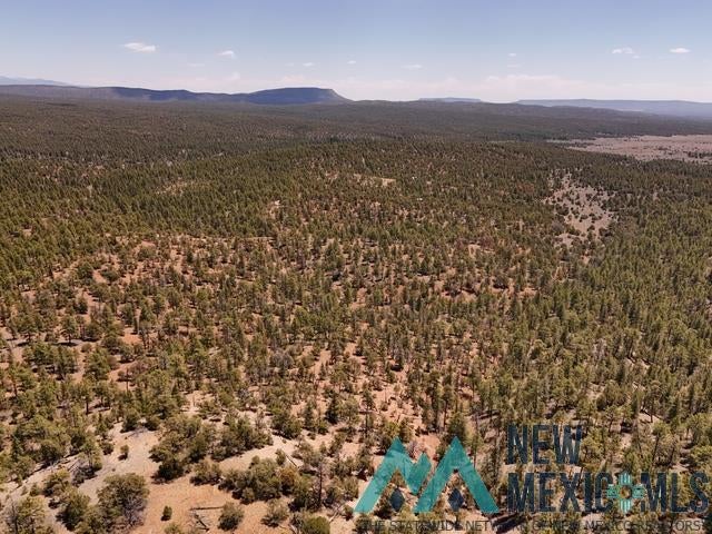 Tbd Tbd Little Arrow Road Grants, NM 87020 - Photo 61 of 69