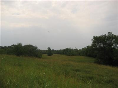 9999 Tracy Road Lawrenceburg, KY 40342 - Photo 9 of 41 Photo 9