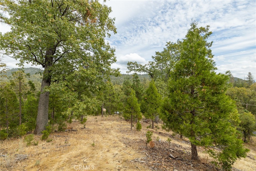 26 Timberview Road North Fork, CA 93643 - Photo 44 of 60