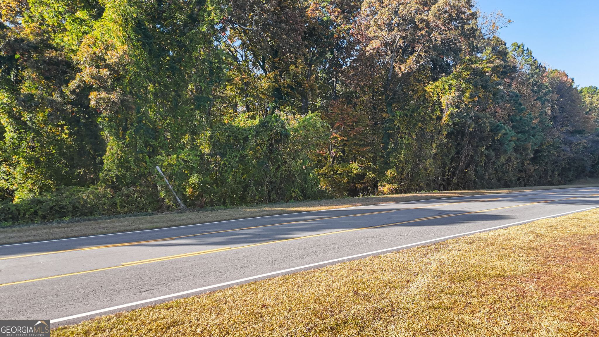 4055 Global Gateway Connector Atlanta, GA 30337 - Photo 5 of 14