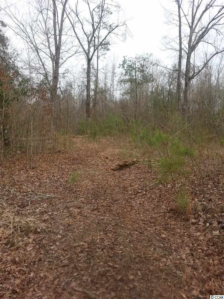 Lot 1 Cane Branch Road Loris, SC 29569 - Photo 1 of 5 Gallery Image 1