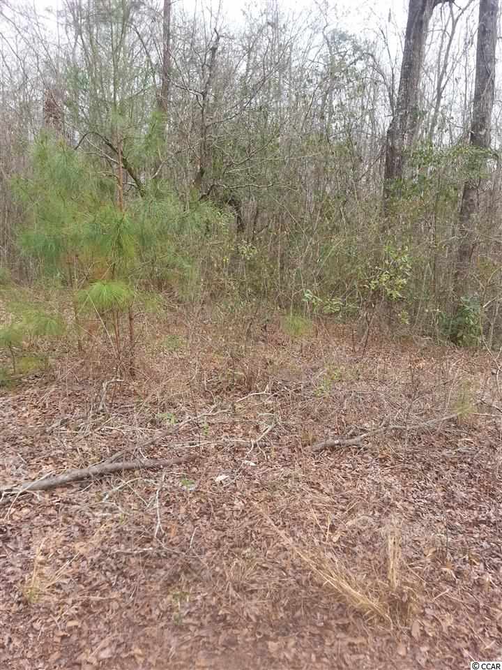 Lot 1 Cane Branch Road Loris, SC 29569 - Photo 2 of 5 Gallery Image 2