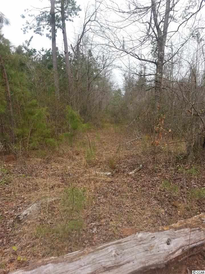 Lot 1 Cane Branch Road Loris, SC 29569 - Photo 3 of 5 Gallery Image 3