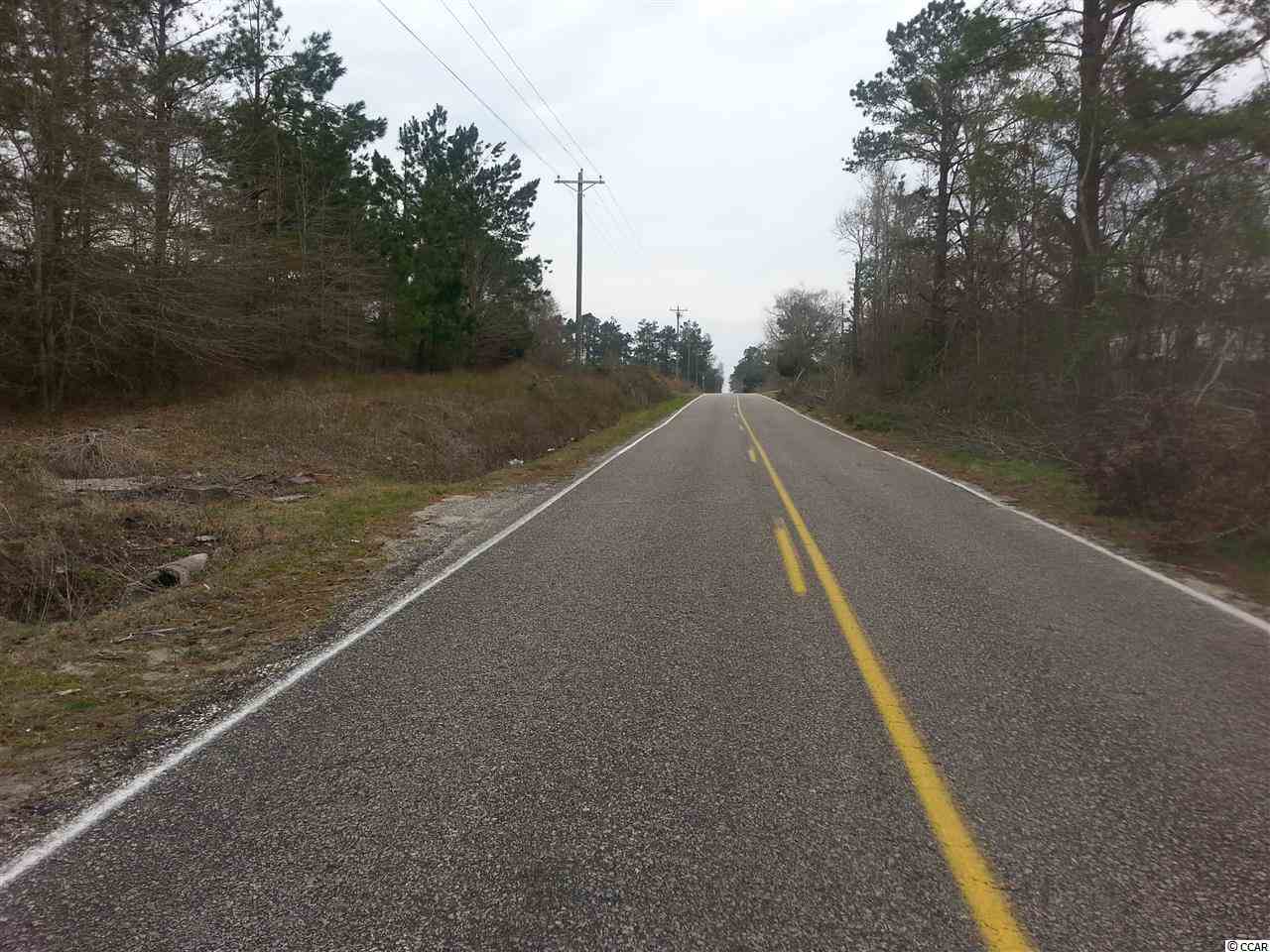 Lot 1 Cane Branch Road Loris, SC 29569 - Photo 5 of 5 Gallery Image 5