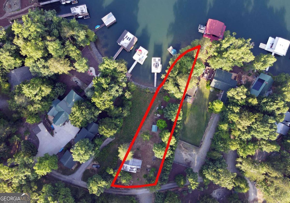 a picture of flowers