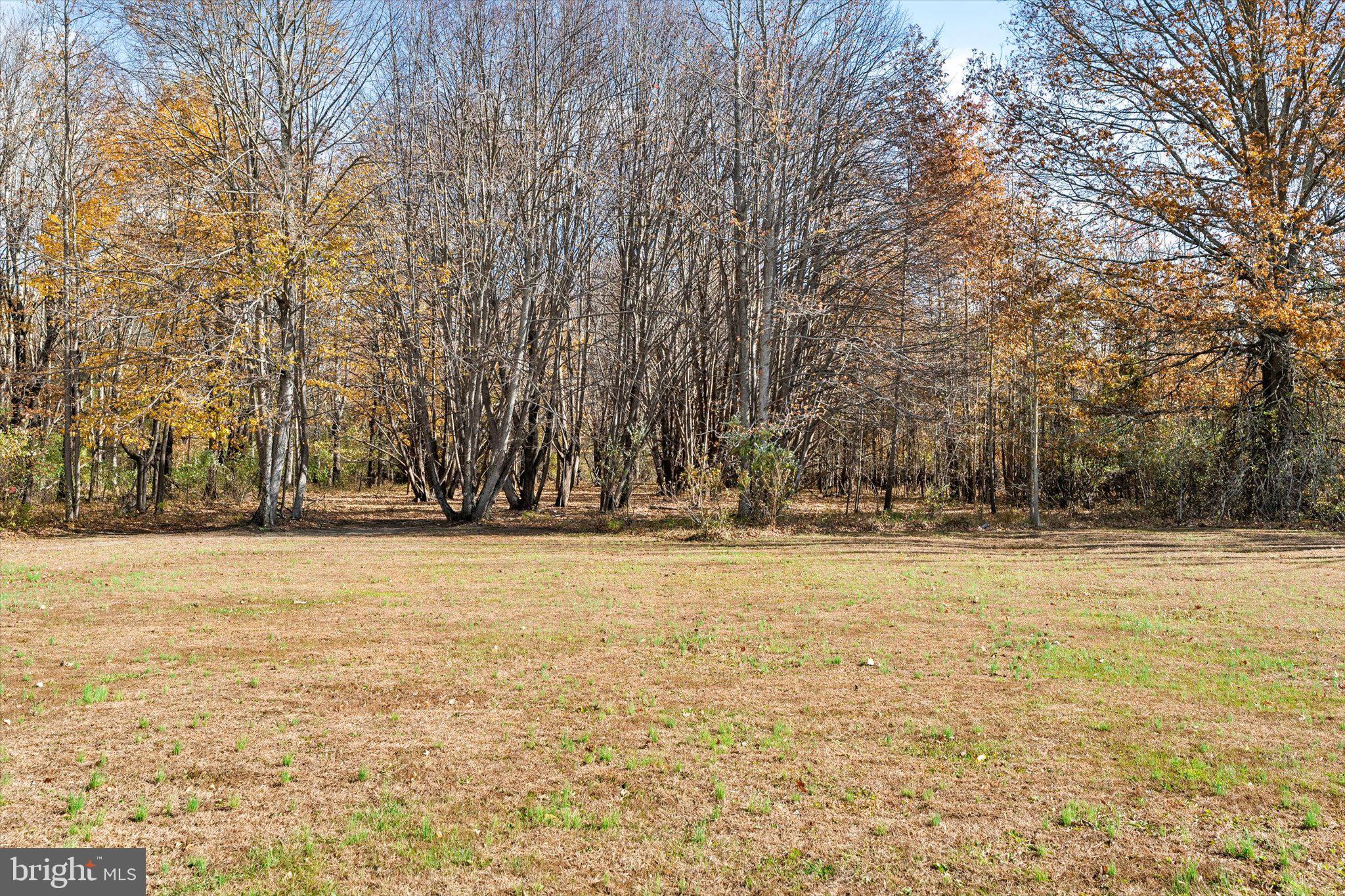 21 Holmes Mill Road Cream Ridge, NJ 08514 - Photo 34 of 37 a view of yard with large trees