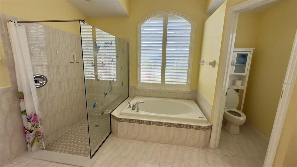 2049 Larissa Court Trinity, FL 34655 - Photo 35 of 61 a bathroom with a tub a toilet and a shower