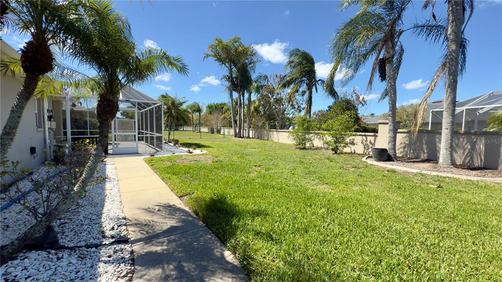 2049 Larissa Court Trinity, FL 34655 - Photo 49 of 61 a view of a park with palm trees