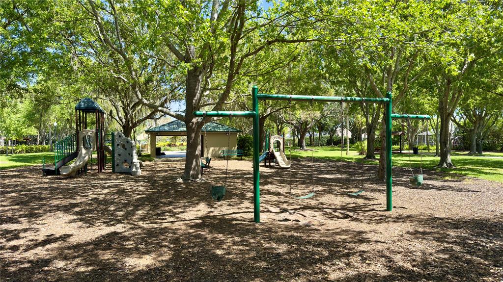 2049 Larissa Court Trinity, FL 34655 - Photo 60 of 61 a backyard of a house with lots of green space