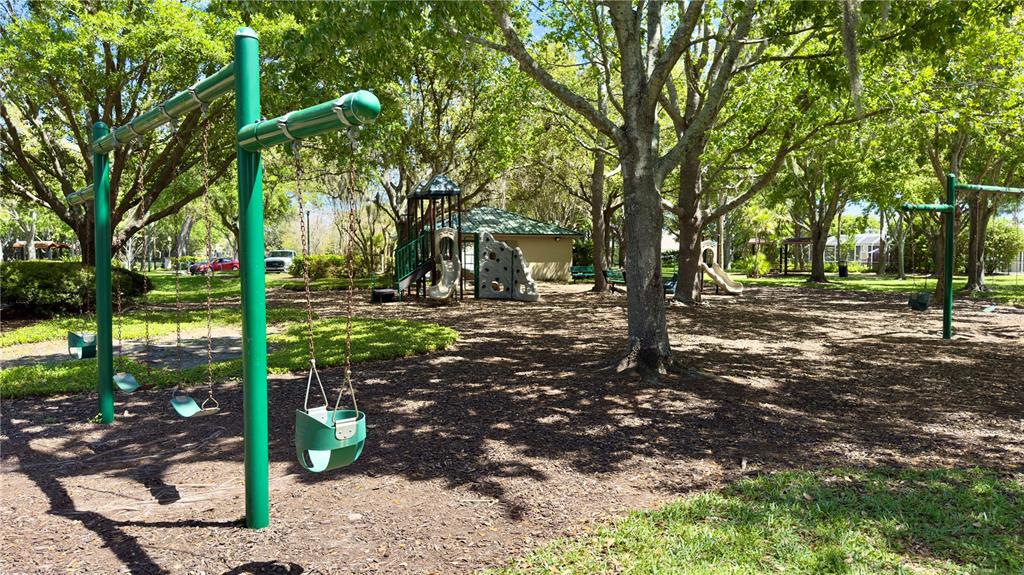 2049 Larissa Court Trinity, FL 34655 - Photo 61 of 61 a view of outdoor space with green space