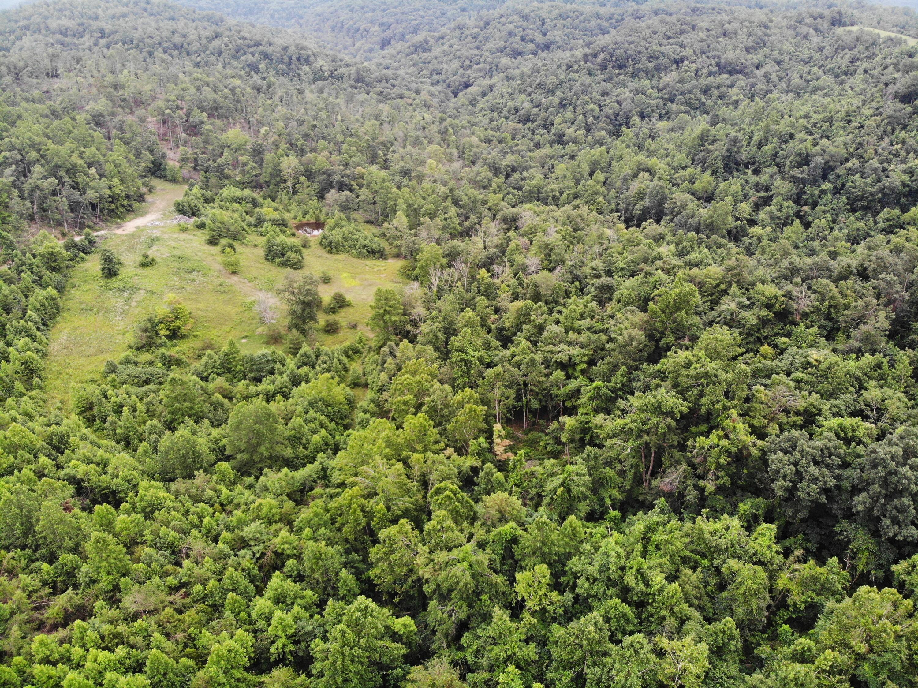 9015 McKee Road Irvine, KY 40336 - Photo 1 of 33 DJI_0973