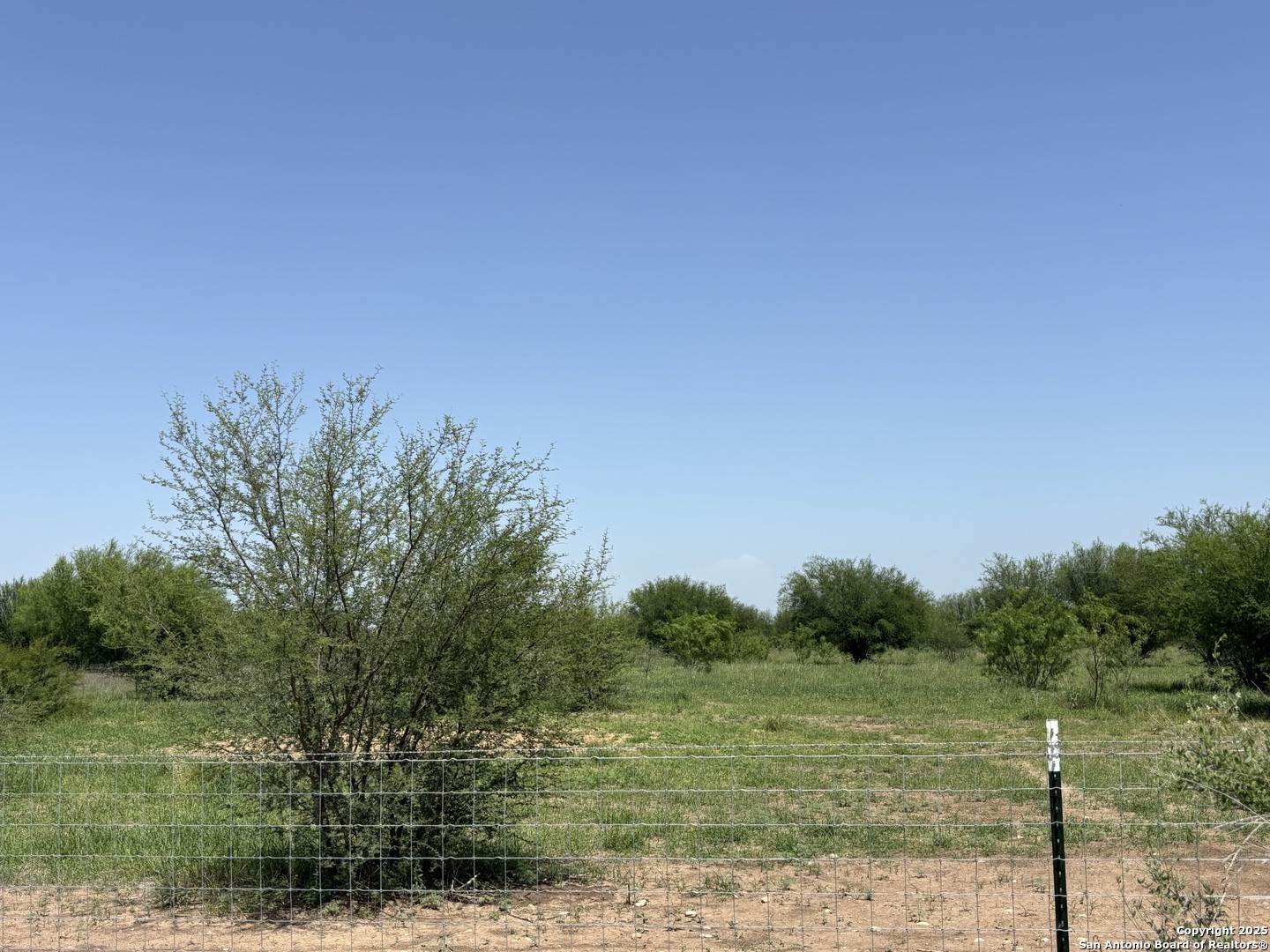 9 County Road 305 Knippa, TX 78870 - Photo 5 of 11 a view of a field with an trees