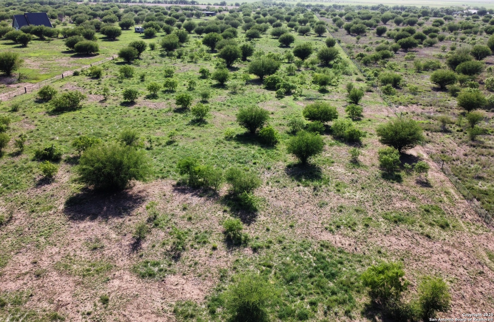 9 County Road 305 Knippa, TX 78870 - Photo 6 of 11 a view of a forest with a tree