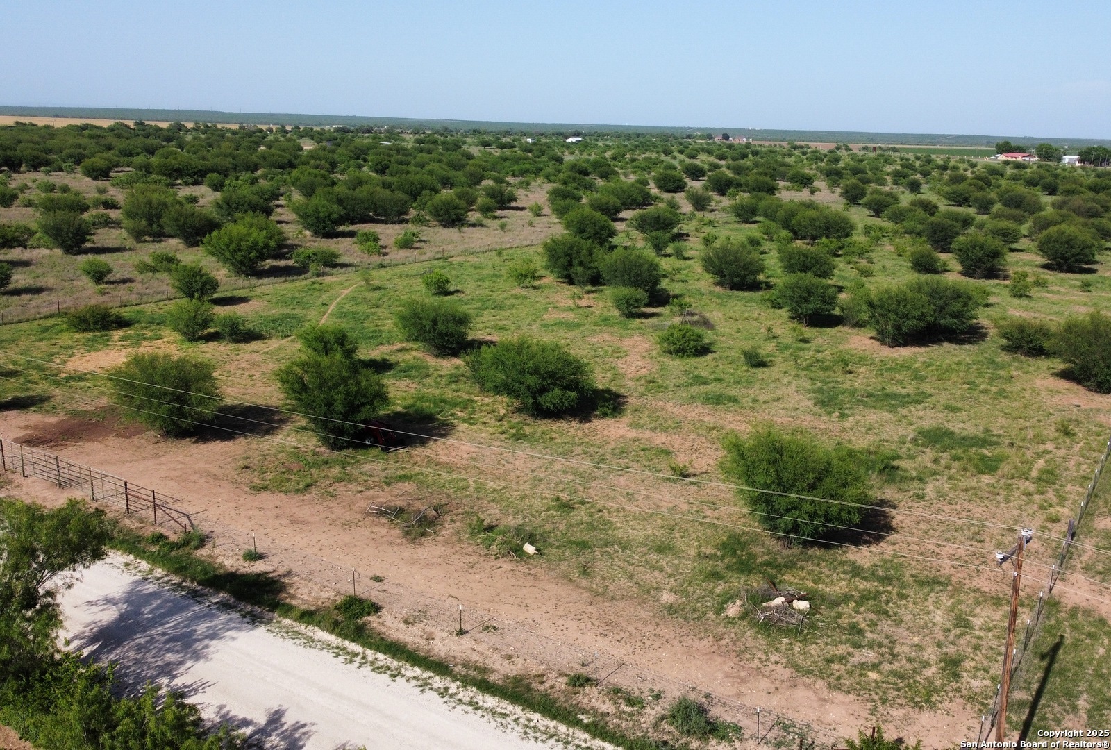 9 County Road 305 Knippa, TX 78870 - Photo 10 of 11 a view of a field with plants and large trees
