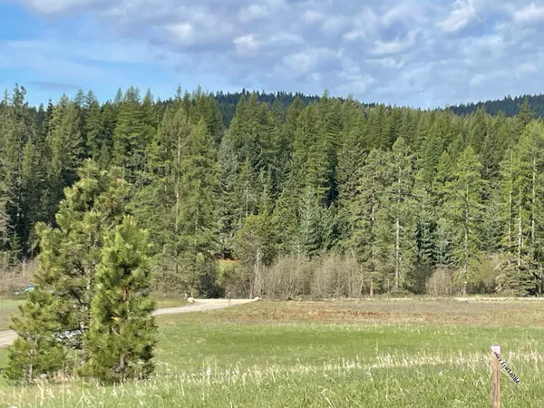 $199,995 | 4435 Whittier Road, Clayton, WA 99110