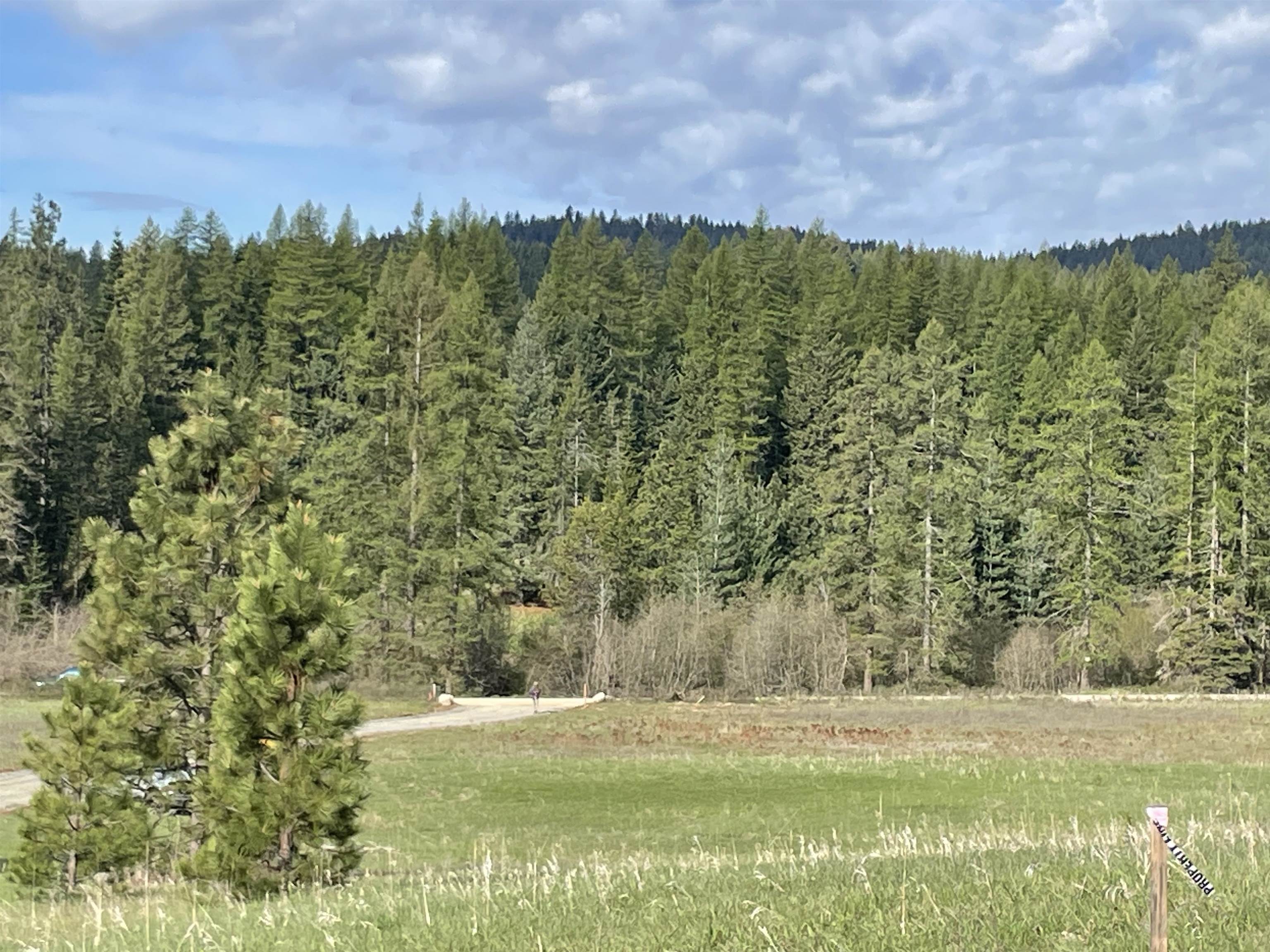4435 Whittier Road Clayton, WA 99110 - Photo 1 of 8