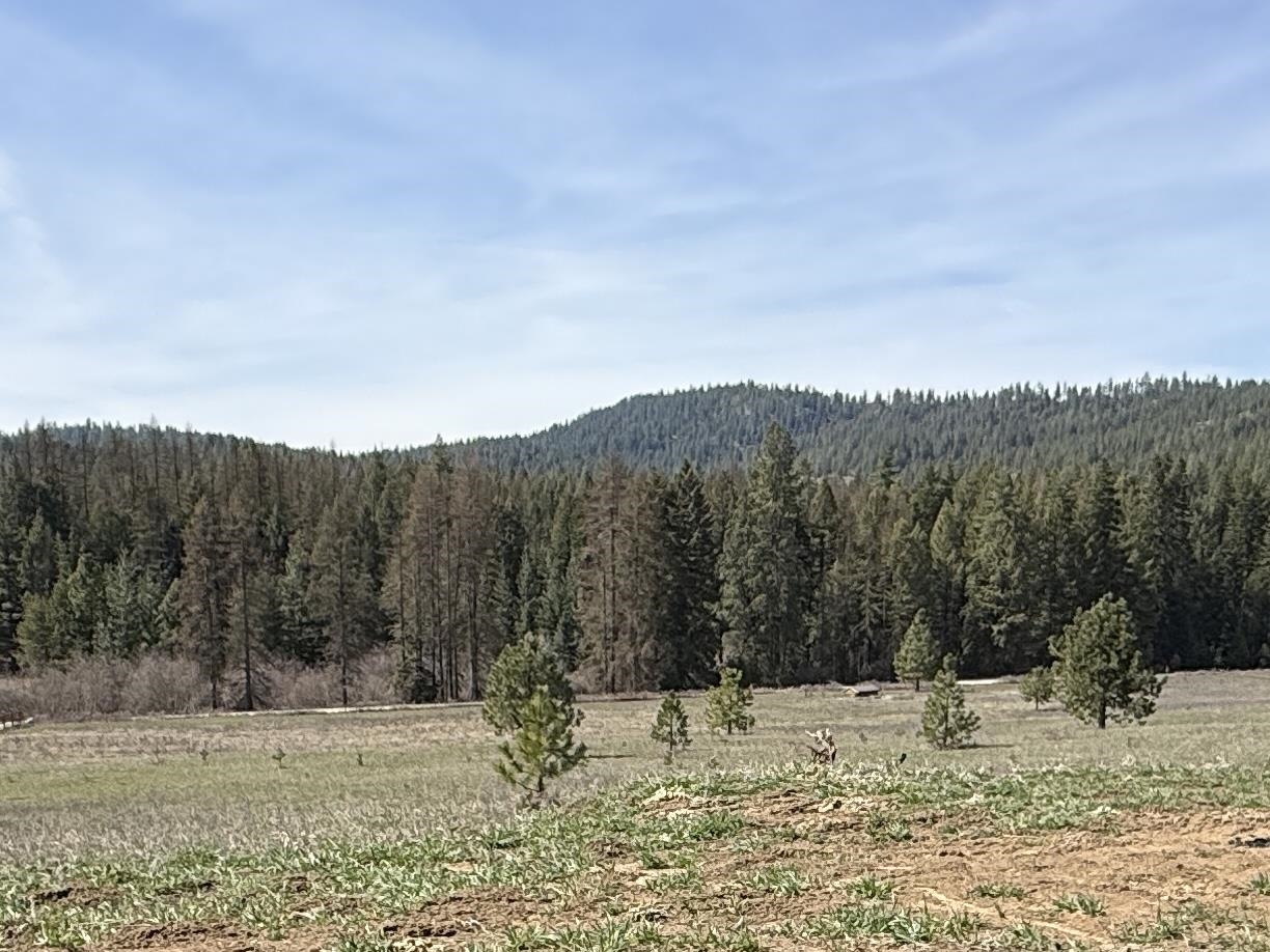 4435 Whittier Road Clayton, WA 99110 - Photo 4 of 8