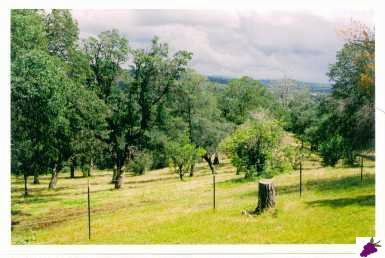 45487 Windmill Road Coarsegold, CA 93614 - Photo 2 of 8 Gallery Image 2