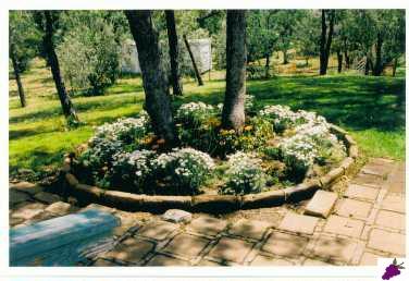 45487 Windmill Road Coarsegold, CA 93614 - Photo 3 of 8 Gallery Image 3