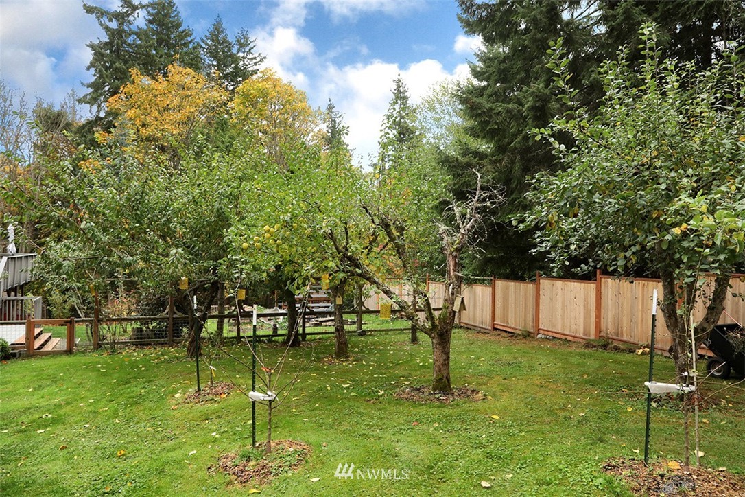6793 Sills Road Clinton, WA 98236 - Photo 32 of 37 a view of yard with green space