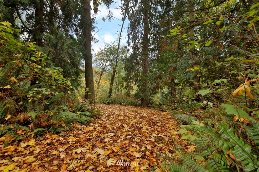 6793 Sills Road Clinton, WA 98236 - Photo 36 of 37 a view of a yard with a tree