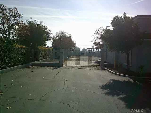 a view of backyard and tree