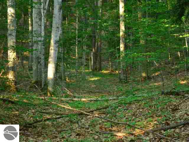 4888 South Wheeler Road Maple City, MI 49664 - Photo 7 of 18 1737925-6.JPG